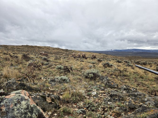 20251011_123325.jpg 20251011_123325.jpg