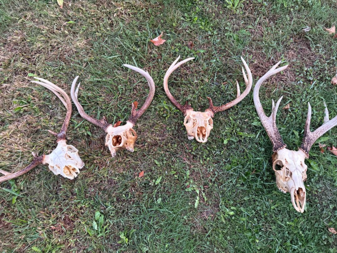 1760355686189.png 1760355686189.png