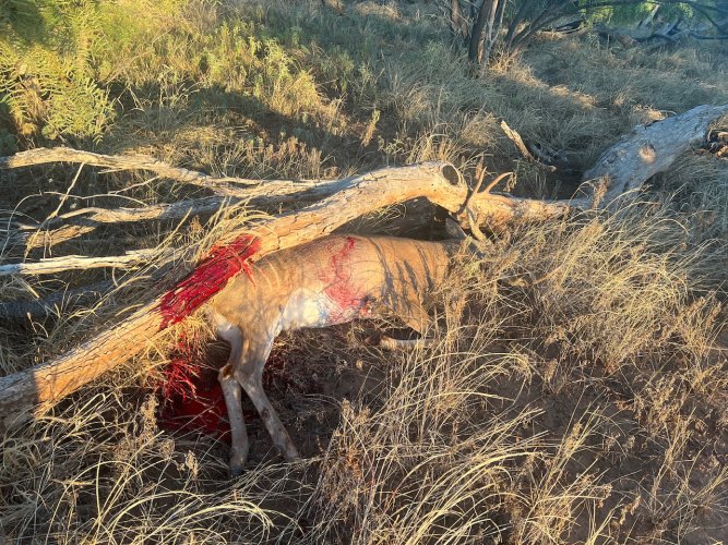 IMG_3055.jpeg IMG_3055.jpeg