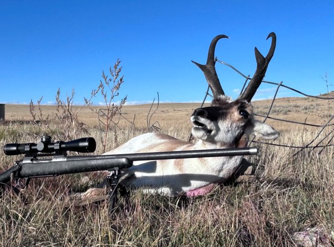 2025 speed goat2.jpg