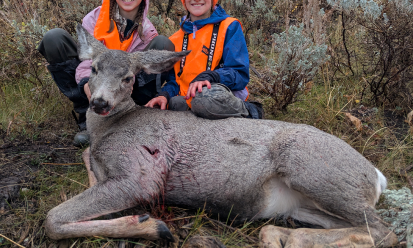 Screenshot_20251013-110917.png Screenshot_20251013-110917.png