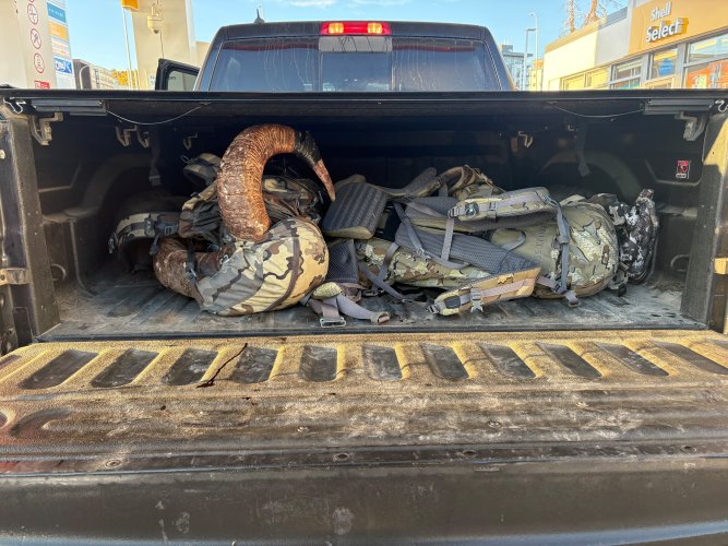 2025 big horn ram -tailgate pic.jpg