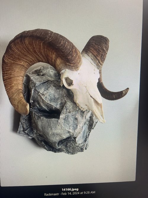 IMG_3079.jpeg IMG_3079.jpeg