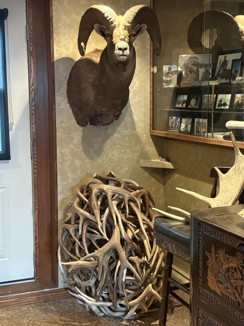 1760482642860.jpeg 1760482642860.jpeg