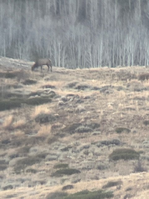 IMG_4517.jpeg IMG_4517.jpeg