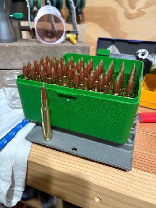 IMG_4273.jpeg IMG_4273.jpeg