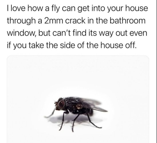 IMG_4515.jpeg