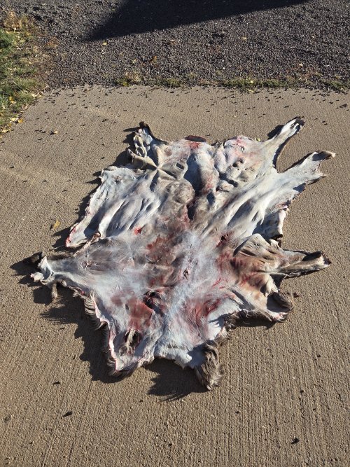 20251012_165727.jpg 20251012_165727.jpg