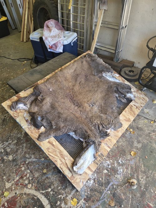 20251012_171152.jpg 20251012_171152.jpg