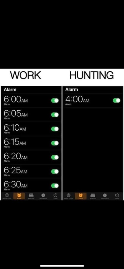 1760555173611.jpeg