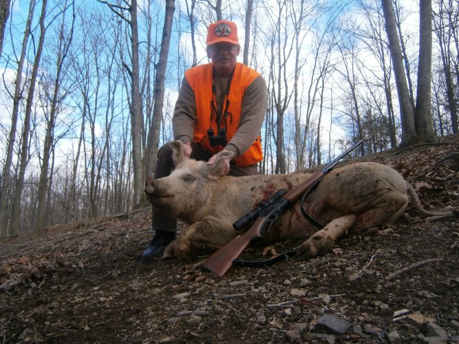 Whispering Hollows 1.JPG