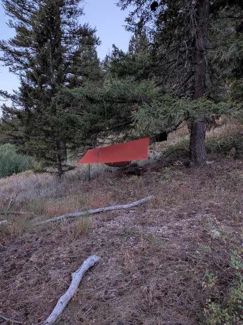hammock.jpg