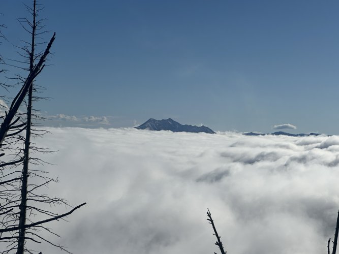 IMG_6076.jpeg IMG_6076.jpeg