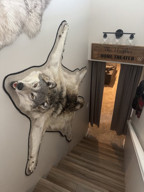 IMG_6166.jpeg IMG_6166.jpeg