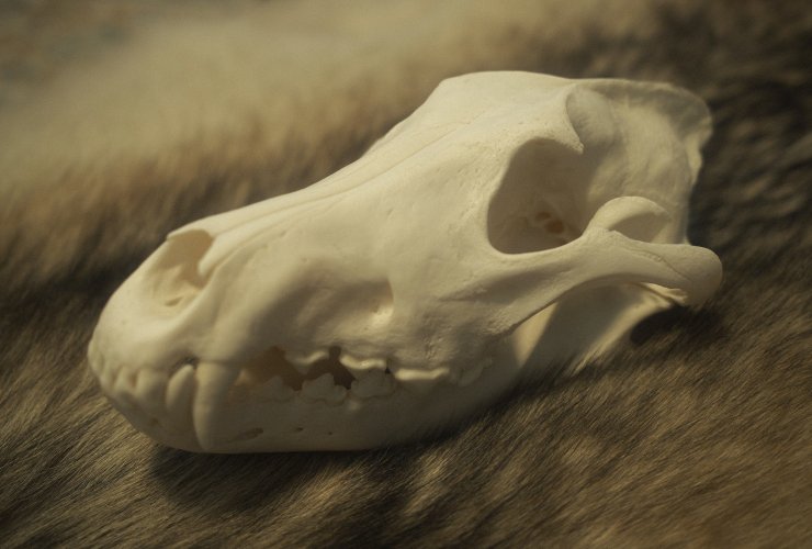 DSCF2705.jpeg DSCF2705.jpeg