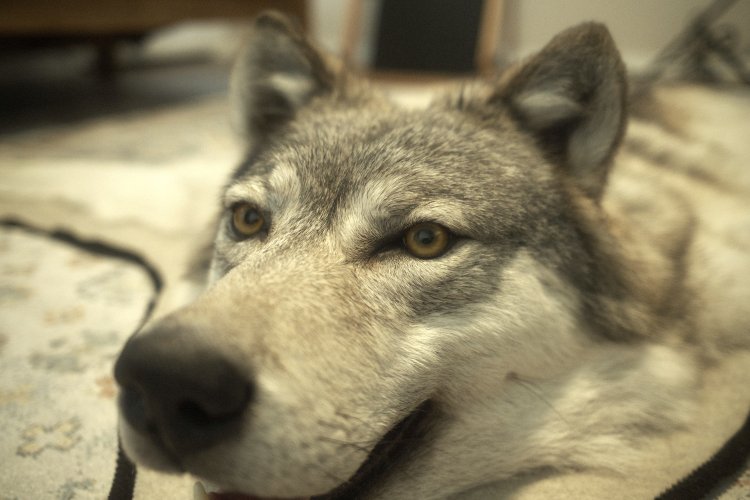 DSCF2700.jpeg DSCF2700.jpeg