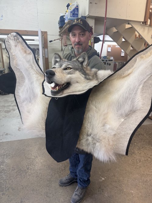 IMG_5932.jpeg IMG_5932.jpeg