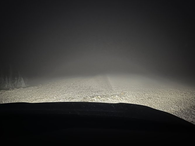 IMG_4528.jpeg IMG_4528.jpeg