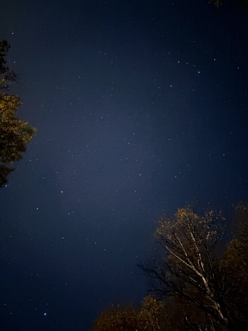 IMG_6784.jpeg IMG_6784.jpeg