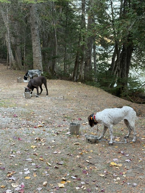 IMG_6805.jpeg IMG_6805.jpeg