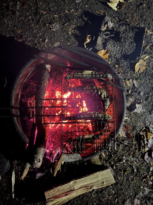 IMG_6819.jpeg IMG_6819.jpeg