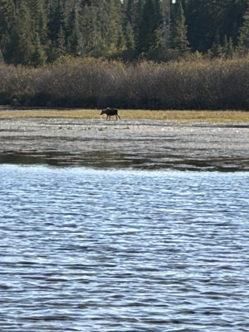 IMG_6803.jpeg IMG_6803.jpeg