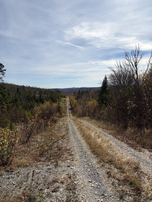 IMG_6823.jpeg IMG_6823.jpeg