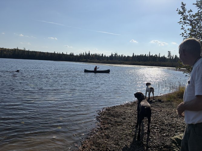 IMG_6797.jpeg IMG_6797.jpeg