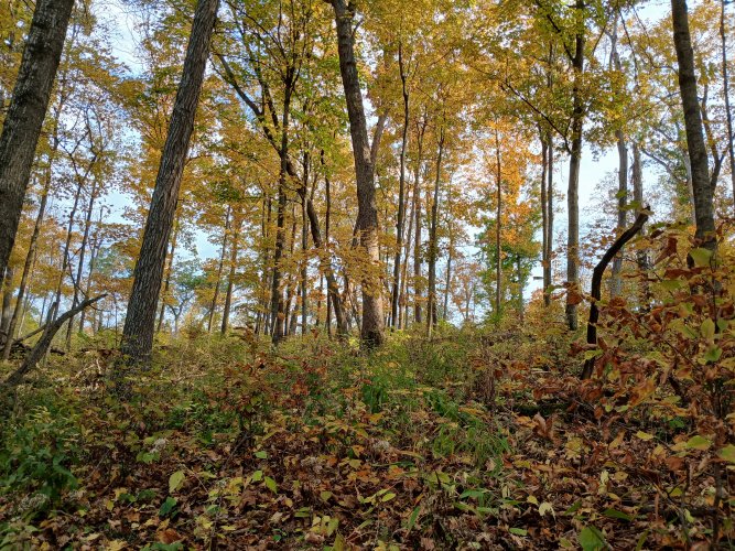 20251017_154305.jpg