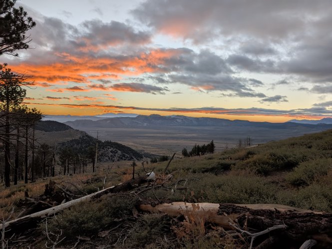 PXL_20251001_135000280.jpg PXL_20251001_135000280.jpg