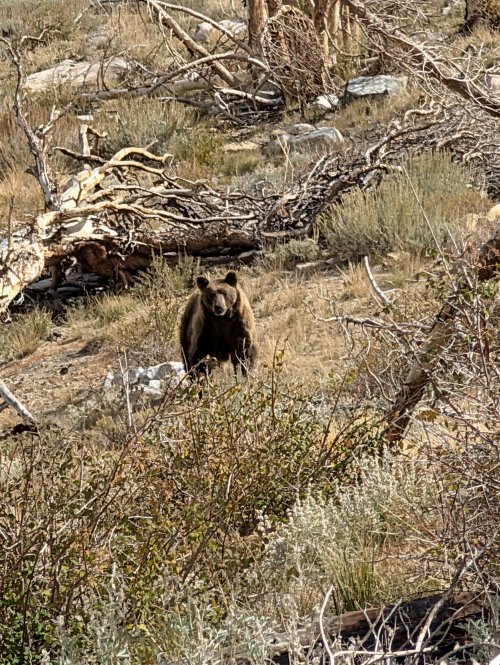 PXL_20251001_185611479.jpg PXL_20251001_185611479.jpg