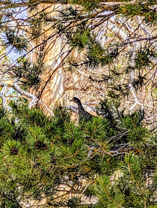 PXL_20251001_195908042~2.jpg PXL_20251001_195908042~2.jpg