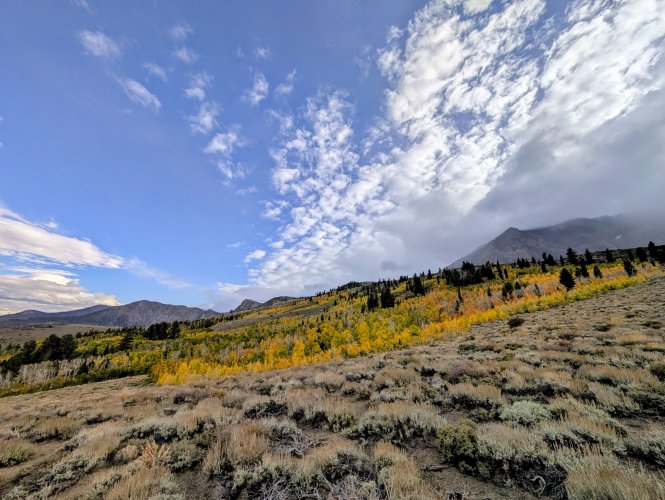 PXL_20251002_234427642~2.jpg PXL_20251002_234427642~2.jpg