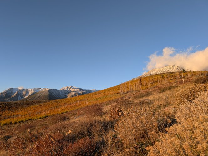 PXL_20251003_140559242.jpg PXL_20251003_140559242.jpg