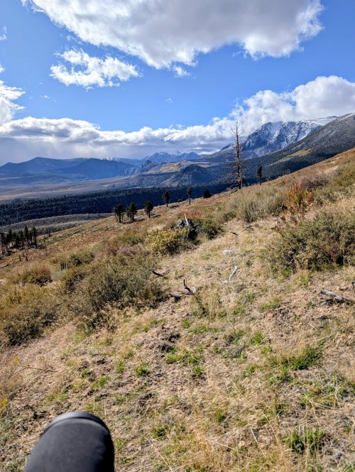 PXL_20251003_165624094~2.jpg PXL_20251003_165624094~2.jpg