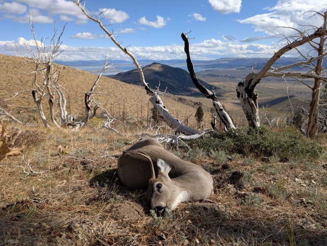 PXL_20251003_171415974.jpg PXL_20251003_171415974.jpg