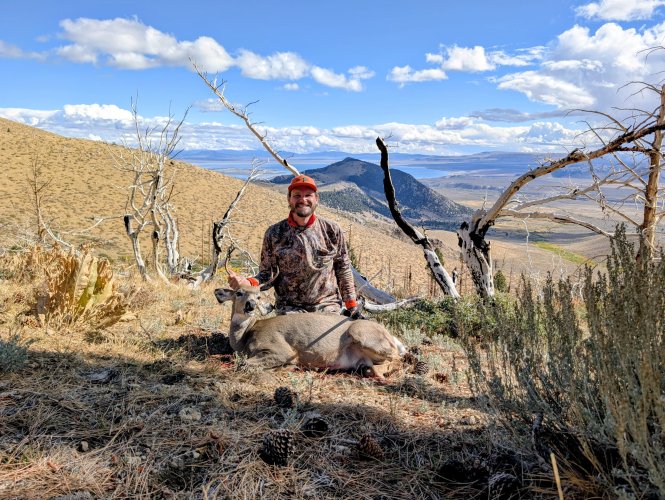 PXL_20251003_171719308~2.jpg PXL_20251003_171719308~2.jpg