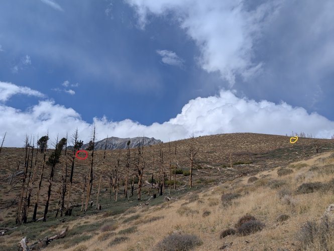 PXL_20251003_190400191.jpg PXL_20251003_190400191.jpg