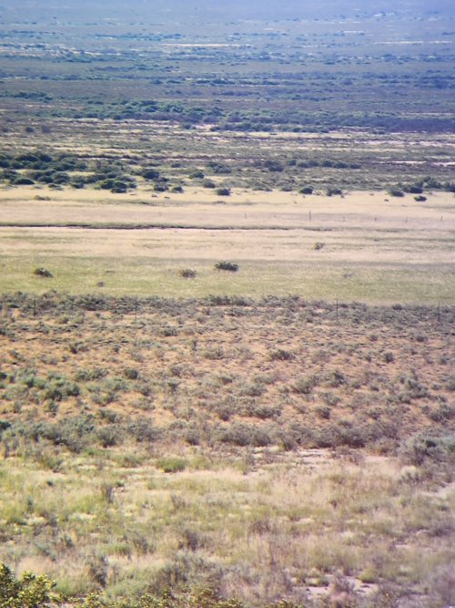 20251017_093136.jpg