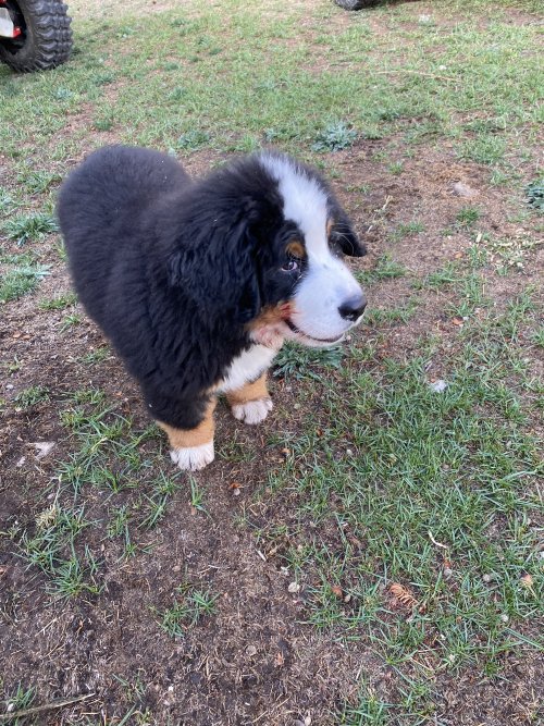 IMG_7828.jpeg IMG_7828.jpeg