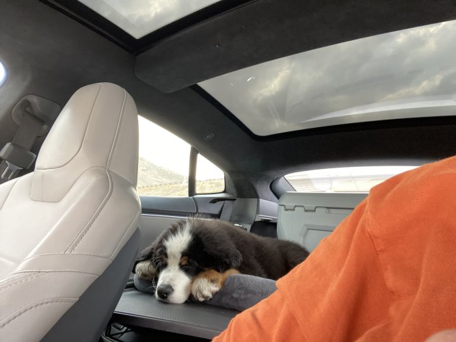 IMG_7921.jpeg IMG_7921.jpeg