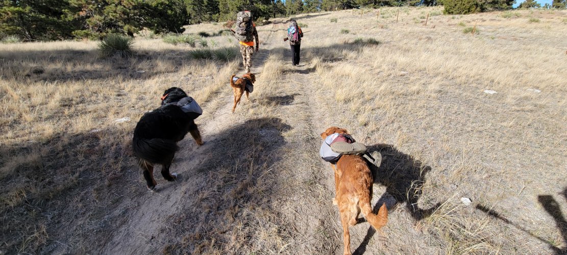 20211115_130707.jpg 20211115_130707.jpg