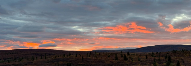 morning coming on.png morning coming on.png