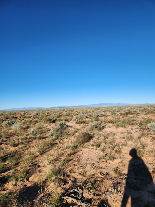 20251018_084345.jpg