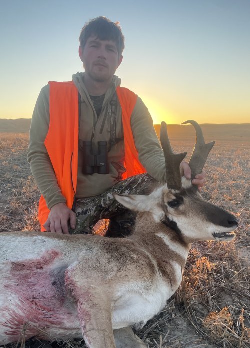 IMG_20251013_052921~2.jpg IMG_20251013_052921~2.jpg