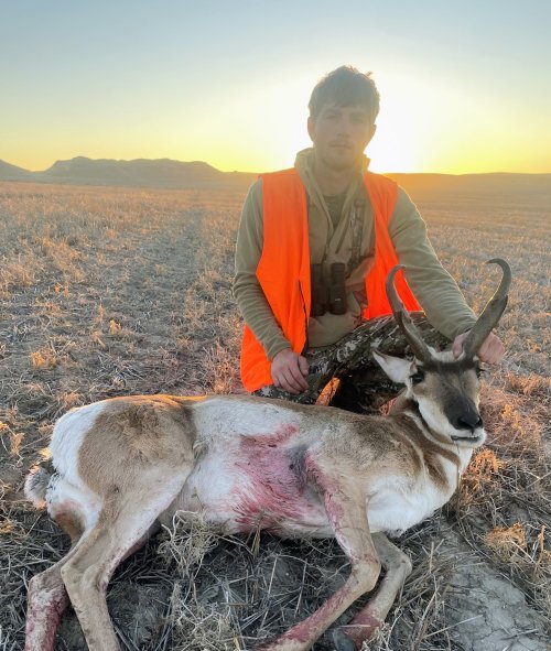 IMG_20251013_052900~2.jpg IMG_20251013_052900~2.jpg