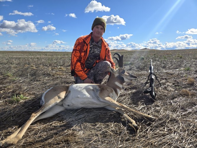 20251018_134336.jpg 20251018_134336.jpg