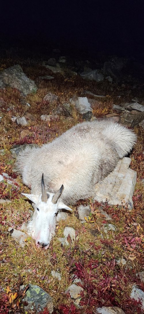 Screenshot_20251018_230853_Gallery.jpg Screenshot_20251018_230853_Gallery.jpg