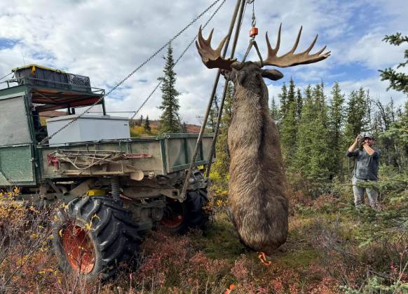 moose hoist.png moose hoist.png