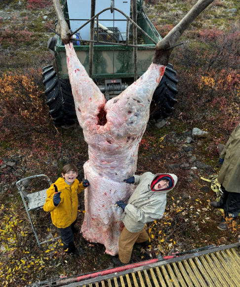 Skining Minions1.png Skining Minions1.png